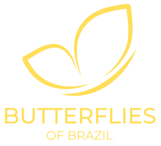 Borboletas do Brasil